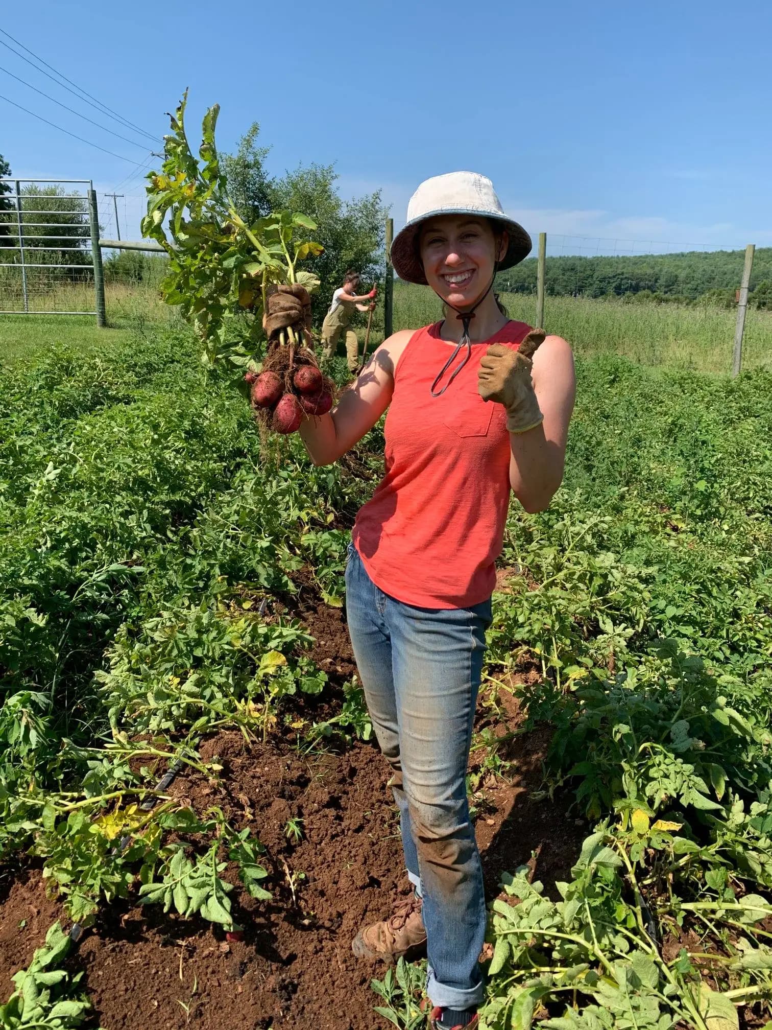 Shenandoah Valley Agricultural Enterprise Center Feasibility Study